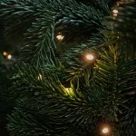 Close up of Christmas tree with lights